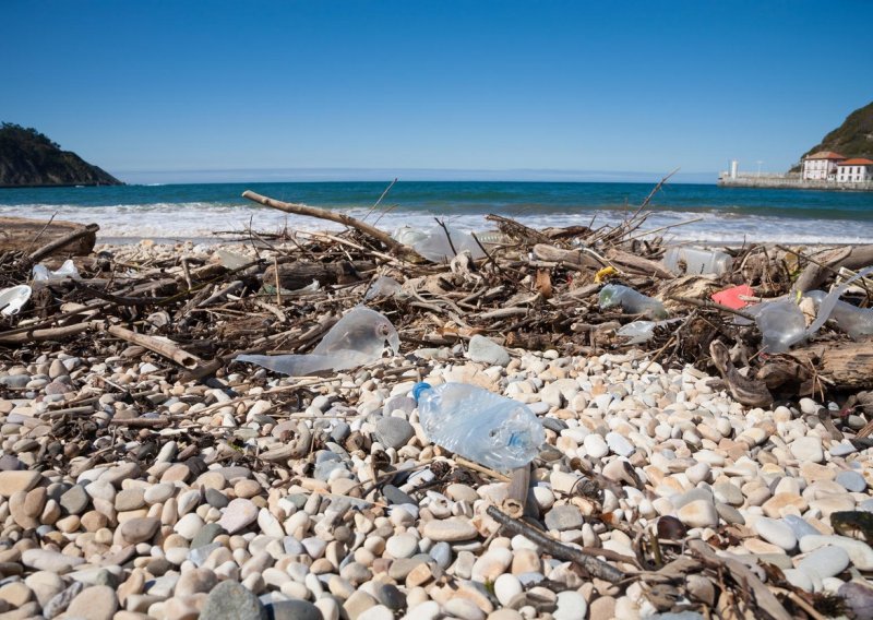 Kada bacite plastičnu bocu u more, sjetite se da može završiti u vašem želucu