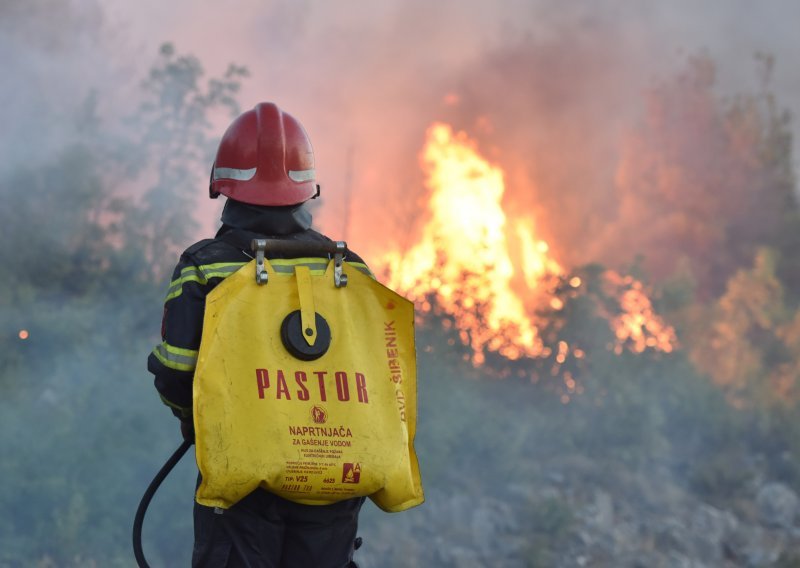 Palila korov kod Benkovca, izazvala požar pa pritvorena