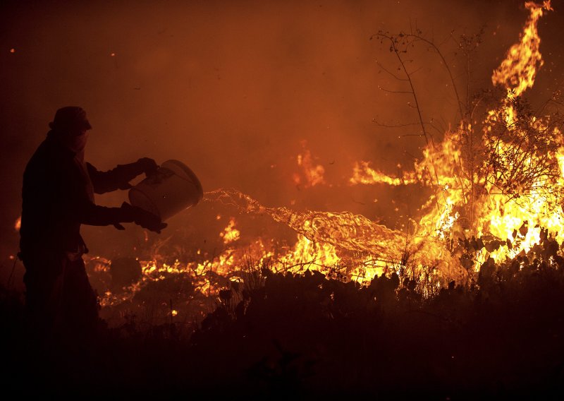 Statistika užasa: Izgorjelo 4500 hektara borove šume, građani zvali vatrogasce 5000 puta