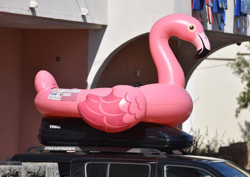 Flamingo ili plamenac? Sasvim je svejedno, jedan divovski upravo je stigao u Hrvatsku