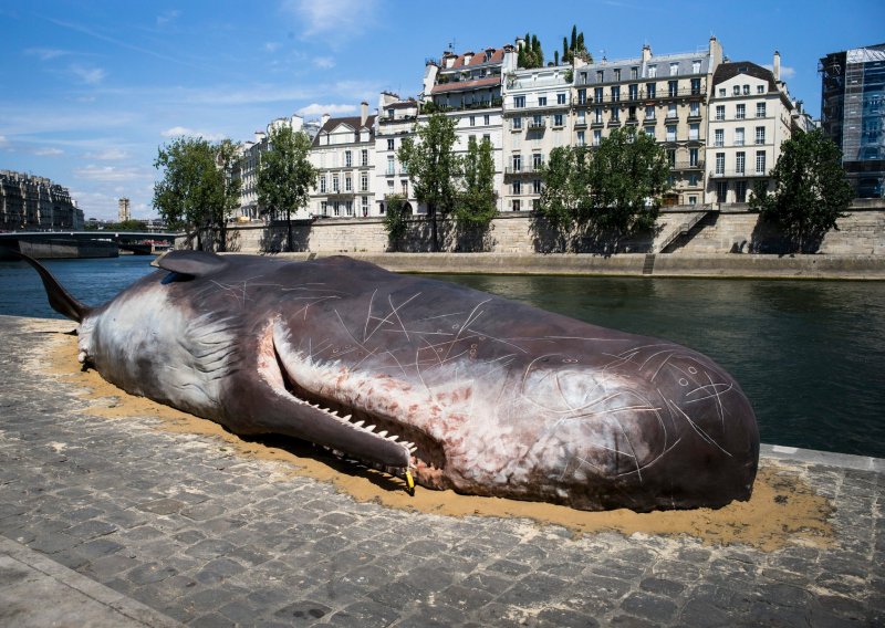 Parižane iznenadio ogroman kit na obali Seine