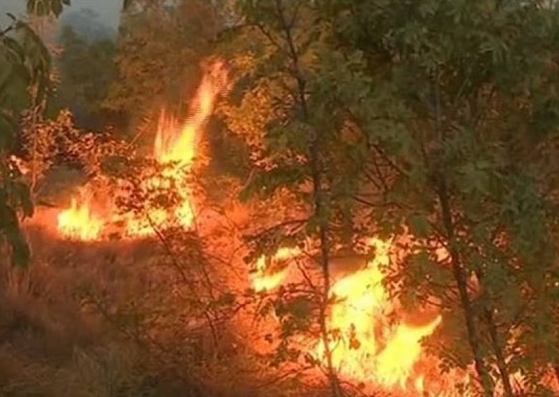 Brzom reakcijom vatrogasci zaustavili požar nadomak Nacionalnog parka Krka