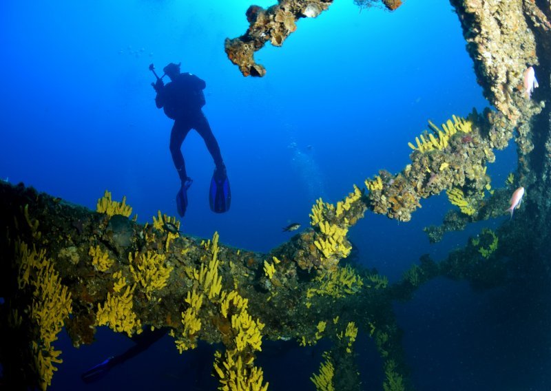 Fascinantne fotke viškog podmorja: Spustite se s nama 40 metara do parobroda Brioni
