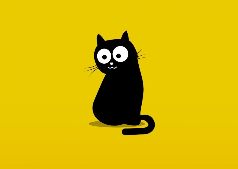 Donosi li crna mačka doista nesreću?