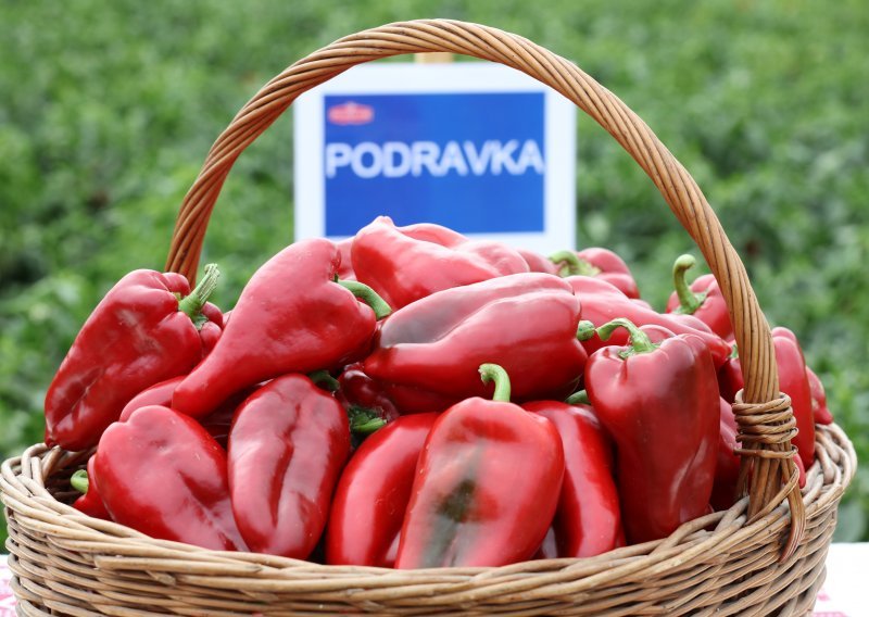 Samo Podravka među milijunašima