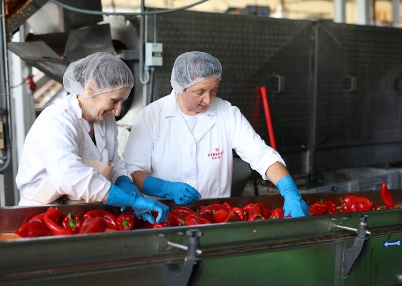 Podravka od domaćih proizvođača kupuje papriku za ajvar