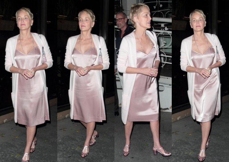 Fatalna Sharon Stone u haljini koja ne trpi donje rublje