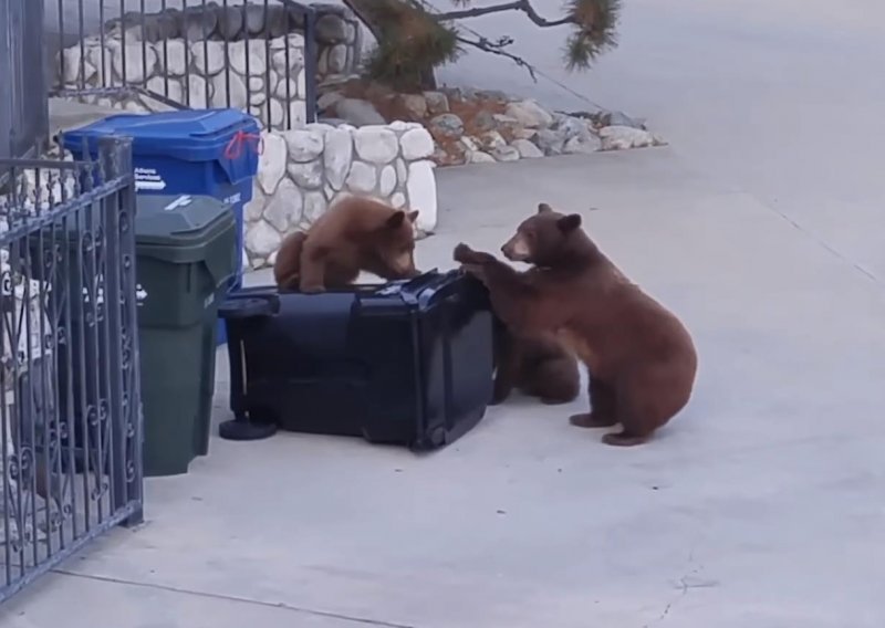 Medvjeđa obitelj nezadovoljna novom kantom za smeće