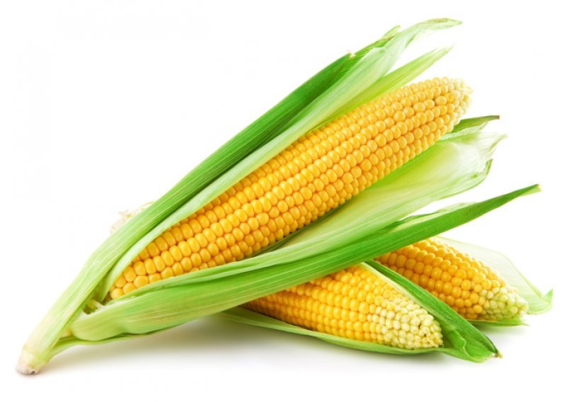 Znate li koje su sve blagodati kukuruza?