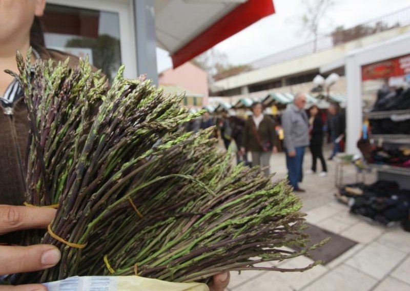 Za svaku šparogu iz državne šume treba platiti 50 lipa