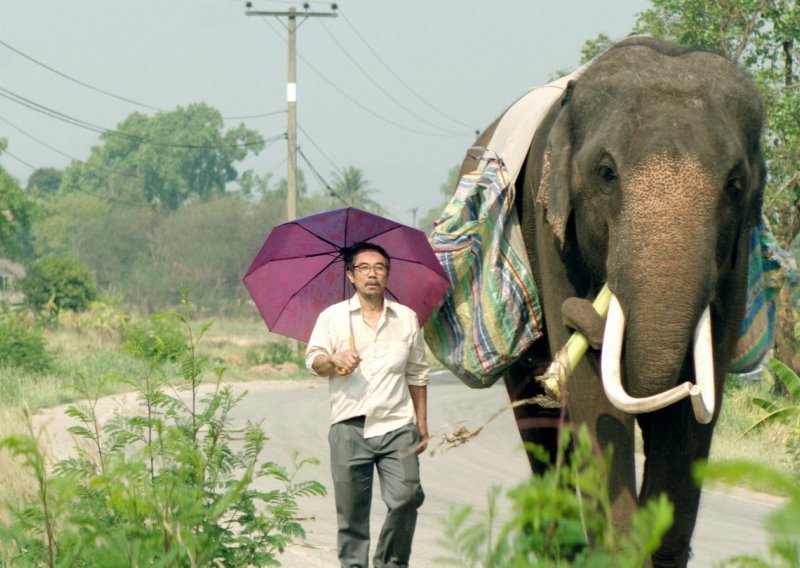Film o apsurdu ratovanja i o prijateljstvu čovjeka i slona na ZFF-u