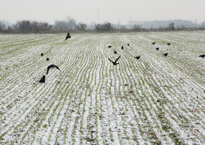 Snijeg zabijelio Osijek i Vukovar, ali i Brač