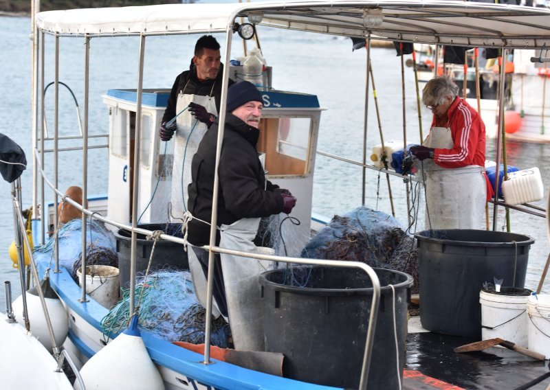Istarski ribari idu kod Tolušića, nemaju pojima što će im ponuditi