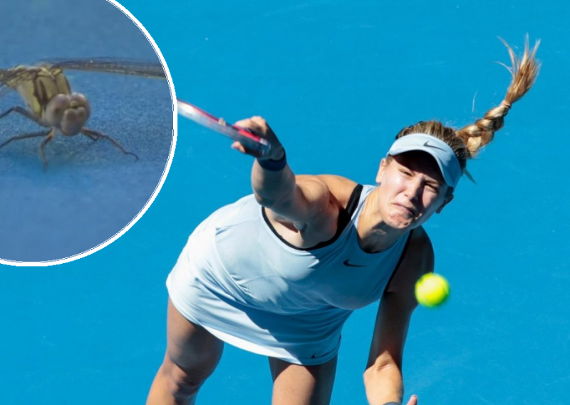 Usporena snimka napada 'nemani' na australsku tenisačicu