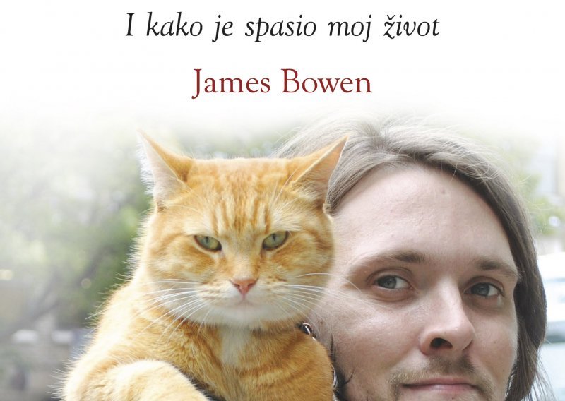 Fantastični mačak Bob - prijava