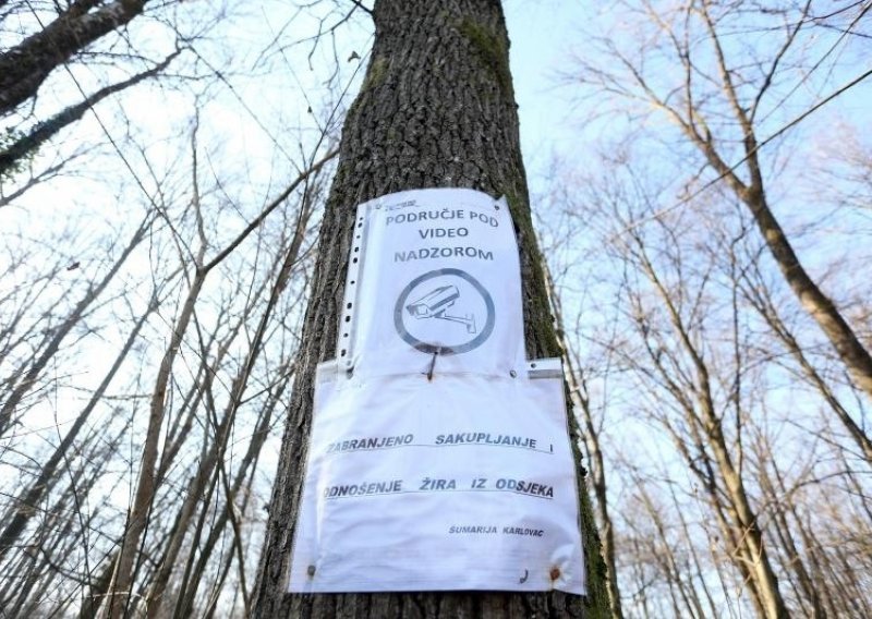 Lopovi, oprez: Big Brother u hrvatskim šumama