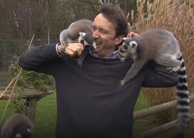 Lemuri navalili na novinara kao da im je donio božićnicu