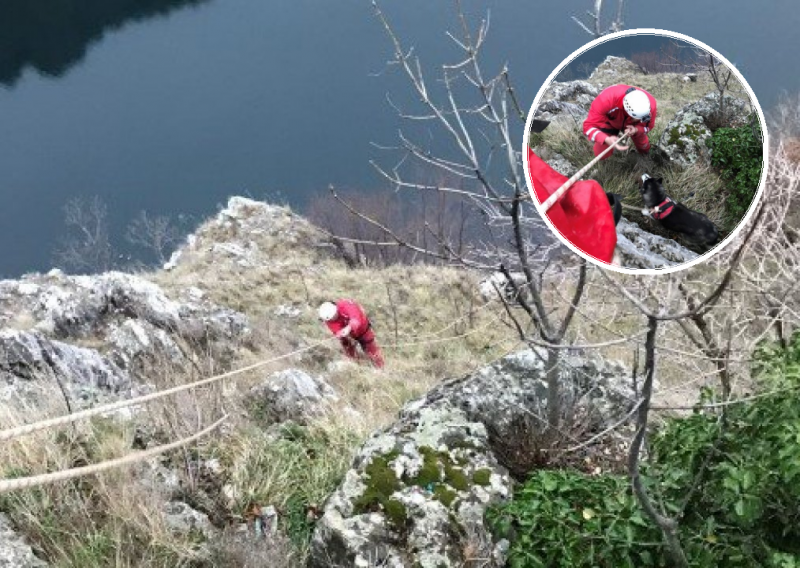 HGSS u akciji: Zaigrani aljaški malamut imao je više sreće nego pameti