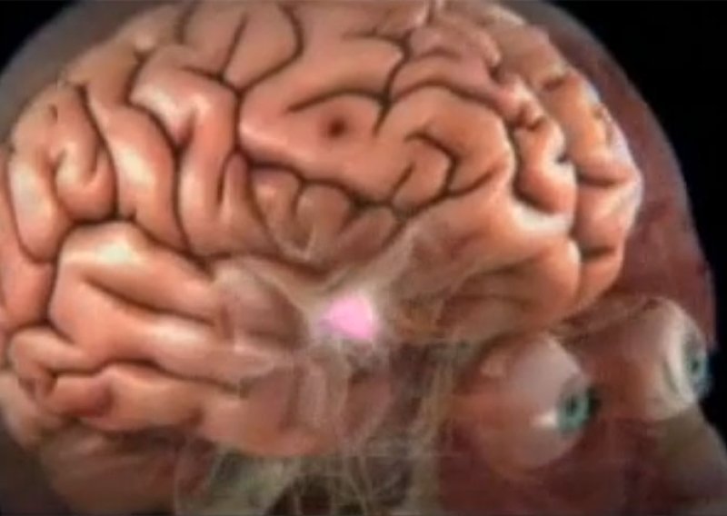 U mozgu otkriven centar koji produžuje život!