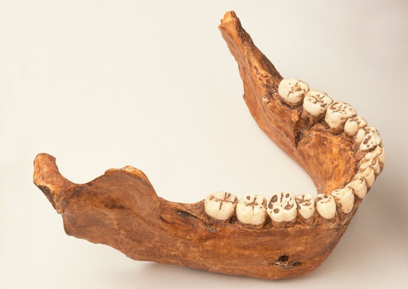 U izraelskoj spilji otkrivene najstarije kosti suvremenog čovjeka