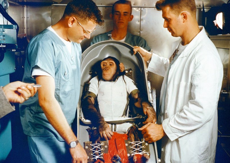 Prisjetite se: Na današnji dan prije 57 godina čimpanza je poletjela u svemir
