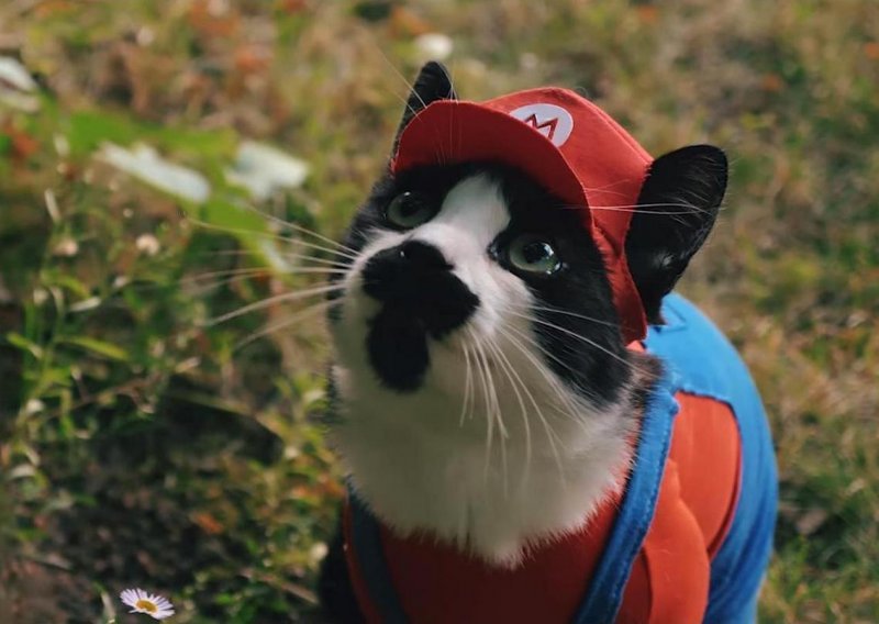 Super Mario je super, a koliko je tek super - Super Mario s mačkama!