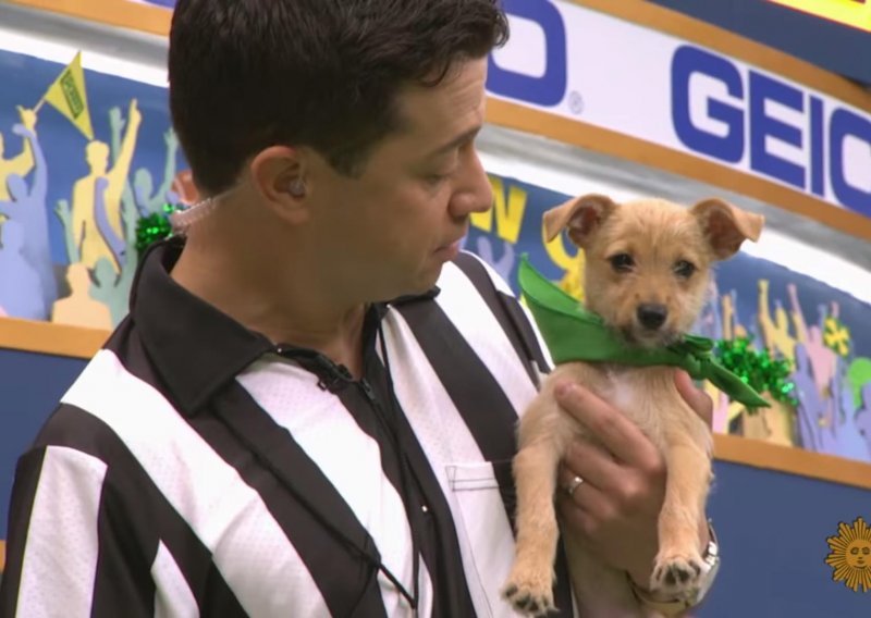 Mislite da je Super Bowl kul? Pogledajte Puppy Bowl!