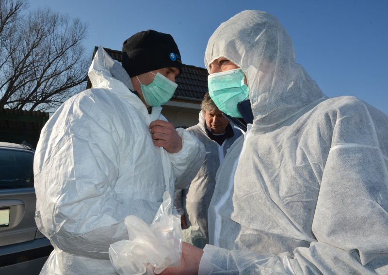 Zbog ptičje gripe zatvorena farma kraj Velike Gorice