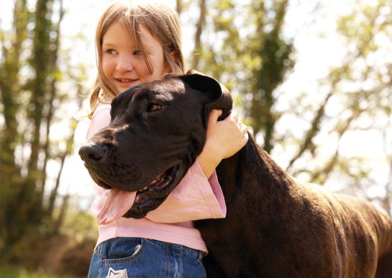 Vjerujete li i vi u ove mitove o velikim psima?