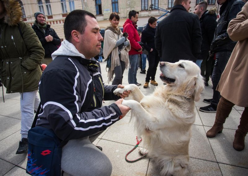 Osječani prosvjedovali zbog trovanja životinja