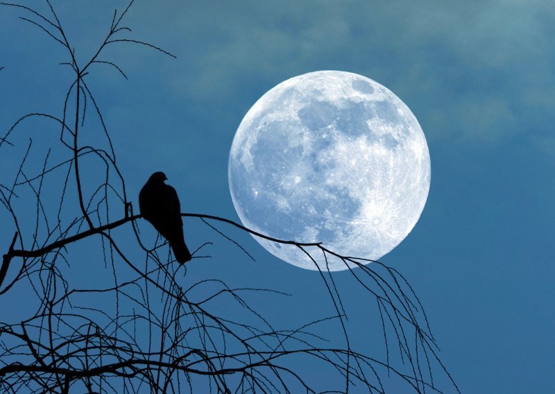 Pun Mjesec u Vagi unosi nemir i osvetoljubivost, a evo tko će to najviše osjetiti