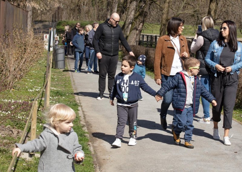 Pogledajte koliko u Hrvatskoj ima obitelji i od kojih se članova sastoje