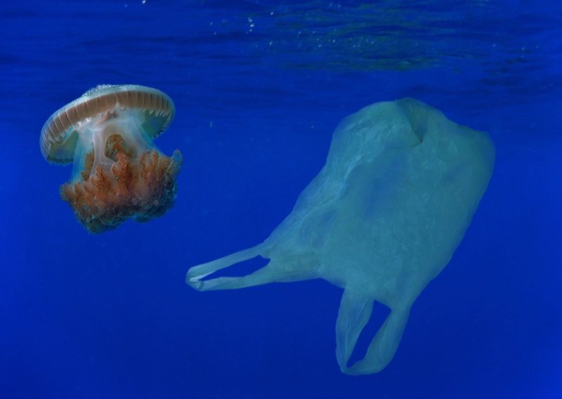 Smanjio se broj plastičnih vreća u Sjevernom moru