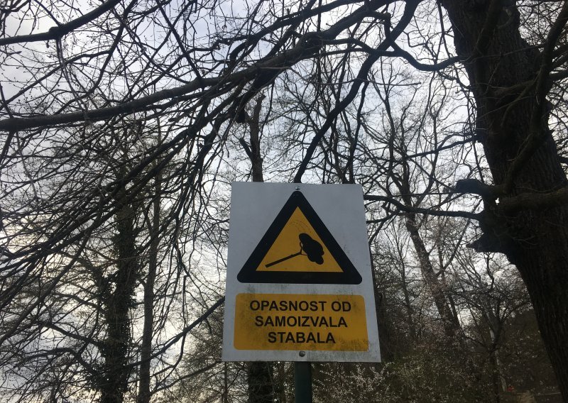 Zbog opasnih klizišta, na zagrebačkom Jelenovcu stabla padaju na šumske staze