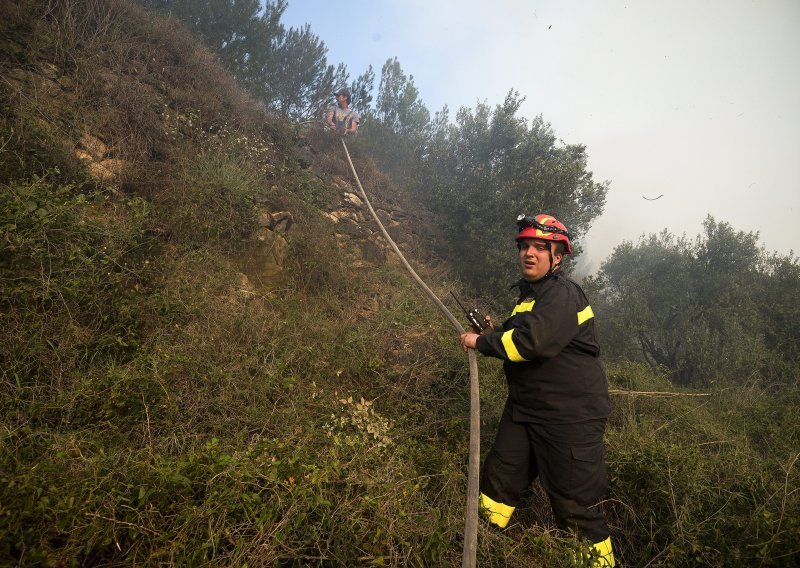 Lokaliziran požar na Korčuli, izgorjelo 10 hektara borove šume