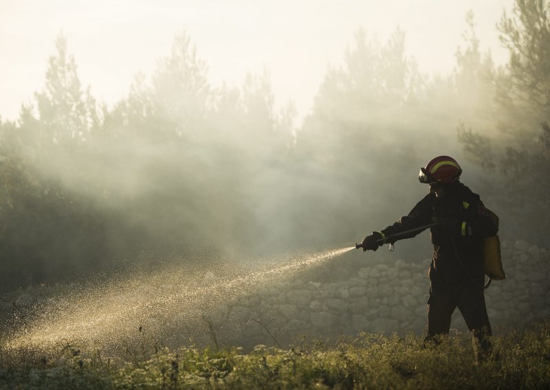 U Dugom Ratu u požaru izgorjelo 10 hektara mlade borovine