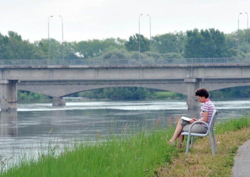 Agencija za plovne putove želi izgraditi 28 vodnih građevina na Dunavu