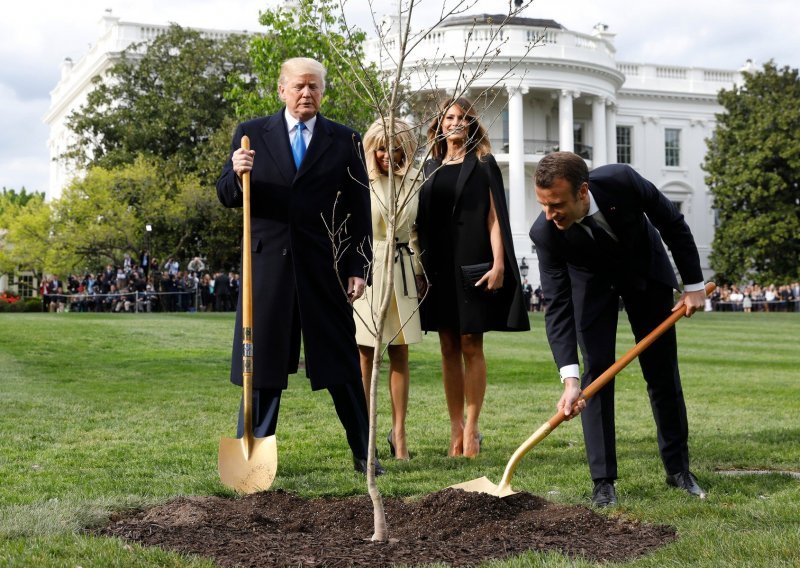 Kamo je nestalo stablo koje su posadili Trump i Macron?