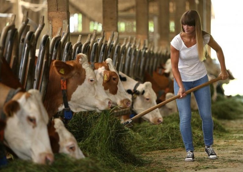 Znate li da za pokretanje biznisa na selu možete dobiti 50.000 eura?