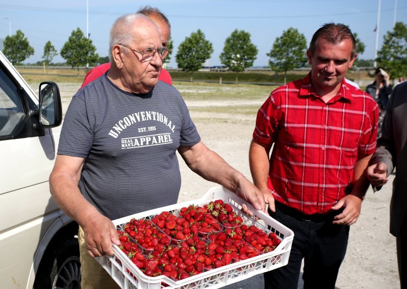 Besplatno dijelili domaće jagode jer ih trgovački lanci ne žele