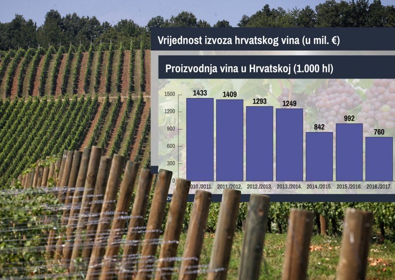Busamo se vinarstvom, a proizvodnja vina se u pet godina prepolovila