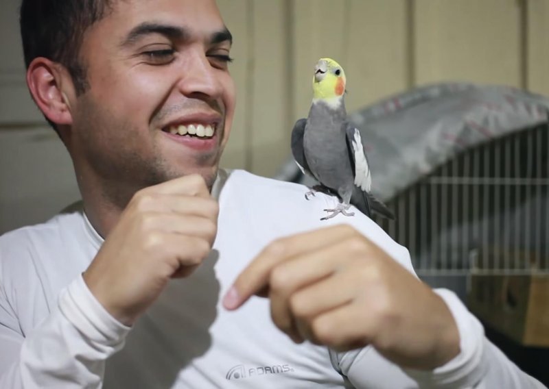 Zabavni papagaj ulovio ritam sa svojim vlasnikom