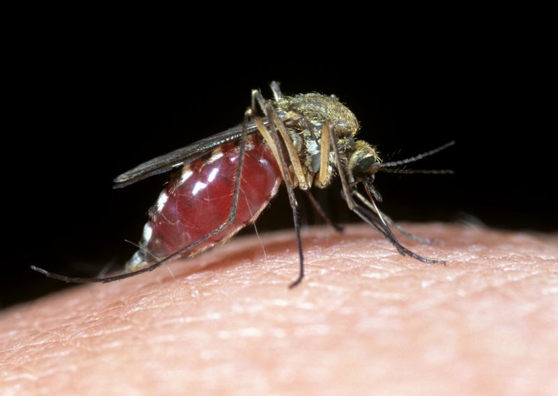 Čime privlačite komarce, kako ih odbiti i kako sanirati ubode