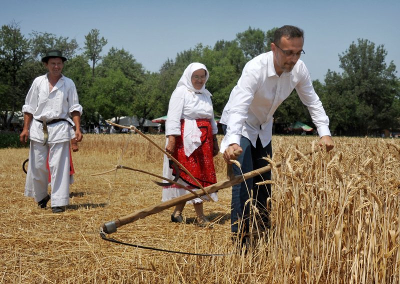 'Smrdljiva snijet pokvarila dojam dobre žetve'