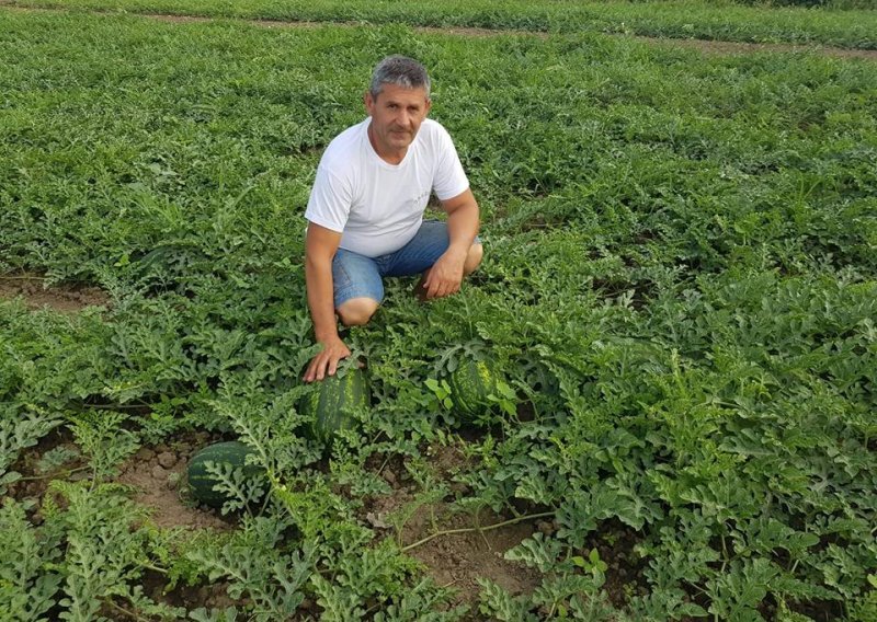 Slavonski proizvođači lubenica imaju velike planove i znaju kako se oduprijeti uvozu
