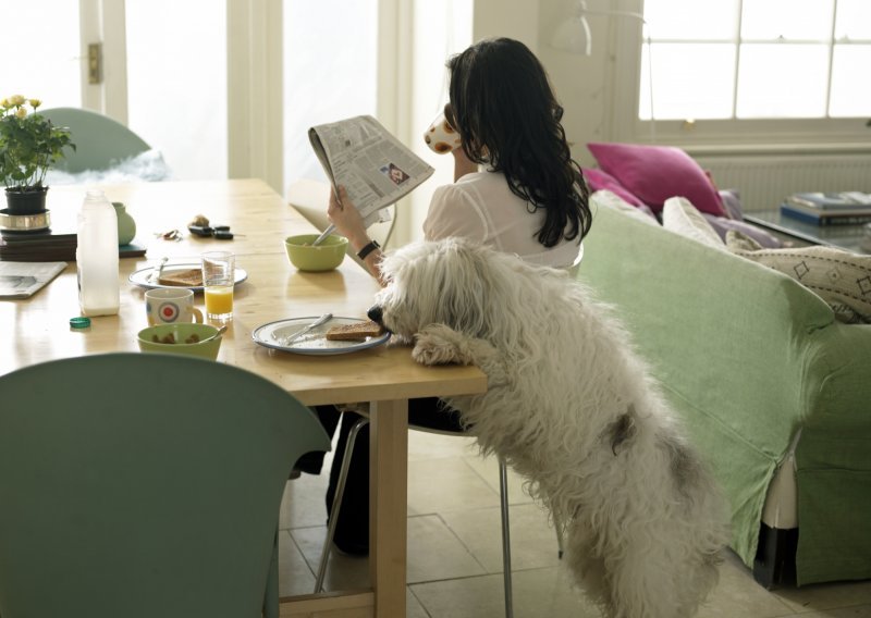 Postoje li dobri ili loši psi?