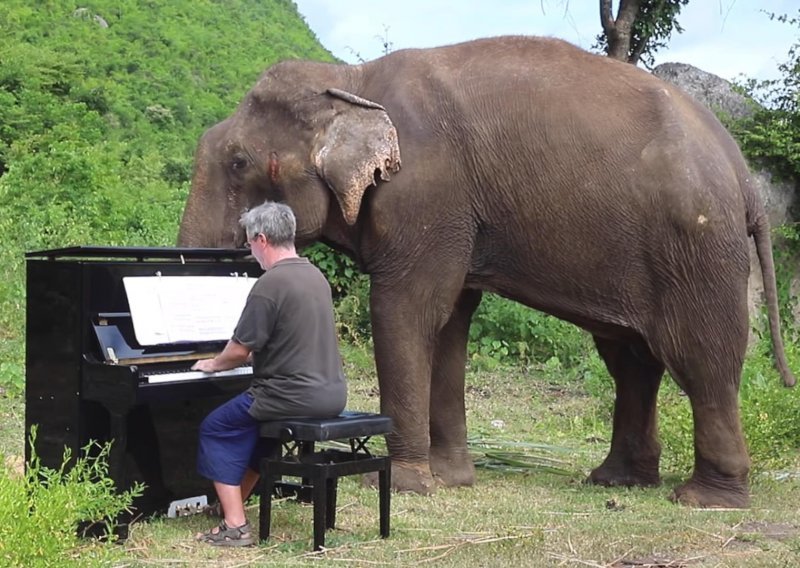 Britanski pijanist klasikom opušta slonove