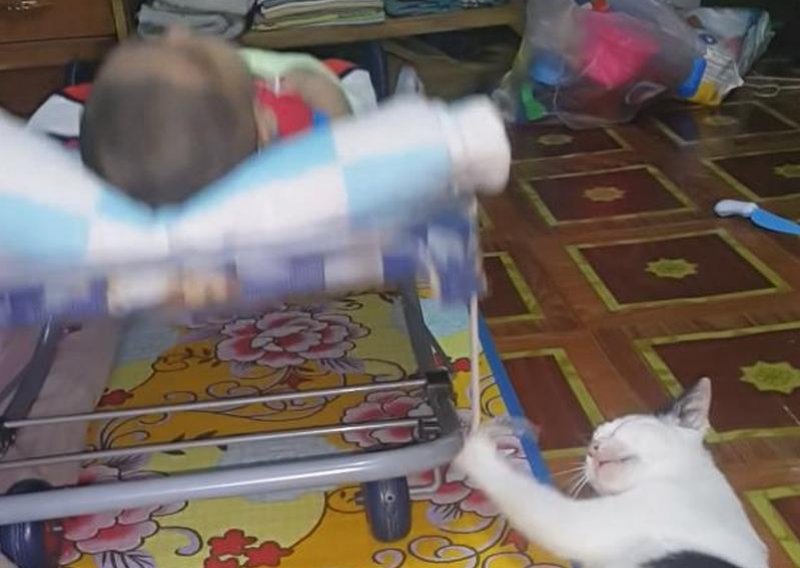 Mačka se brine za sebe i bebu - to se zove multitasking!