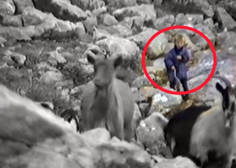 Pogledajte rijetku snimku dječaka Luke Modrića iz dokumentarca BBC-ja o velebitskim vukovima