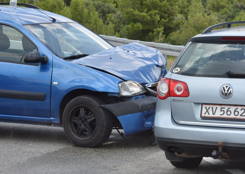 Stiže polica osiguranja od naleta divljači u cestovnom prometu